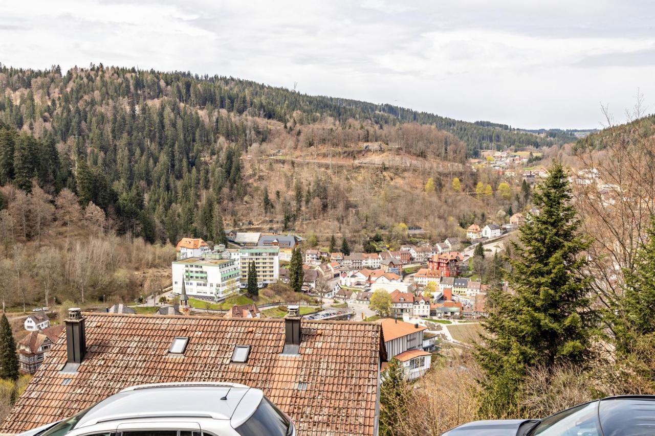 Ferienappartement Sonnenhof Triberg im Schwarzwald Bagian luar foto